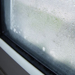 condensation on window